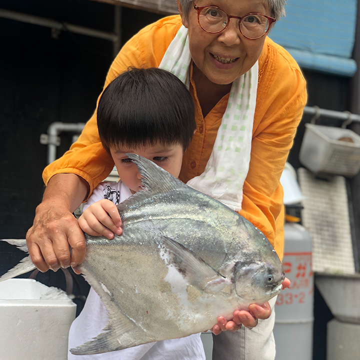 マナガツオ[Silver pomfret]